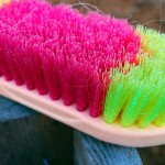 Basic Horse Care Grooming Brush (www.Basic-Horse-Care.com)