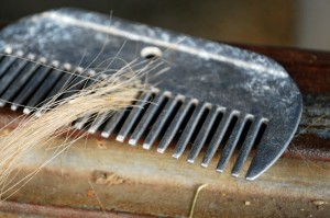 Basic Horse Care Mane Comb with Hair (www.Basic-Horse-Care.com)