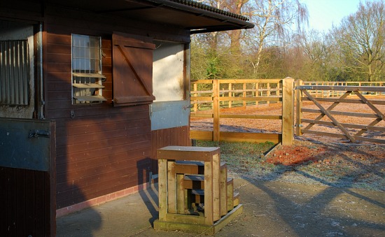 Basic Horse Care Stables and School (www.Basic-Horse-Care.com)