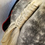 Plaiting horse tail (www.Basic-Horse-Care.com)